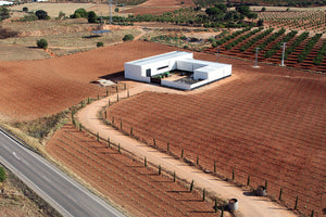 Bodegas y Viñedos Ponce