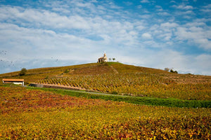 Domaine de la Madone