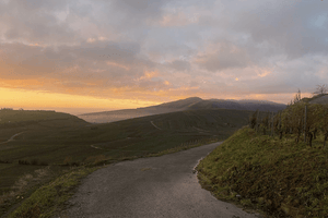 Domaine Amélie & Charles Sparr