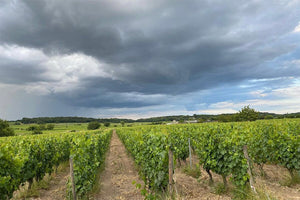 Domaine Des Sanzay