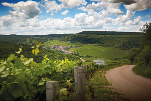 Domaine Roux