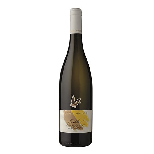 Alto Adige Chardonnay "Cardellino" 2024 - Elena Walch