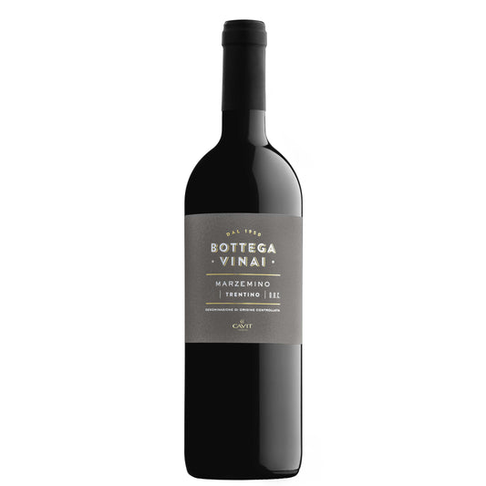 Trentino Marzemino DOC 2023 - Bottega Vinai