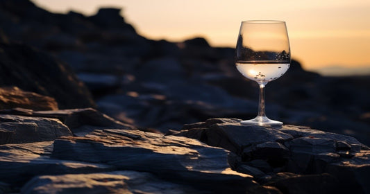 Quali sono i migliori vini bianchi freschi e leggeri?