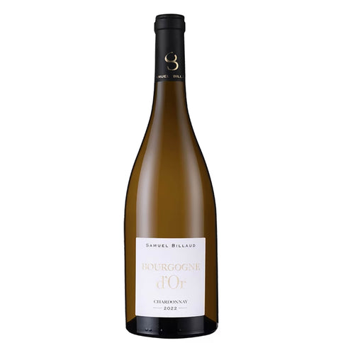 Bourgogne d'Or Chardonnay 2022 - Samuel Billaud