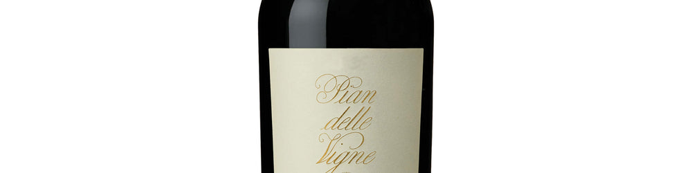 Brunello di Montalcino Riserva DOCG 'Pian delle Vigne - Vignaferrovia' 2019 - Pian delle Vigne, Antinori