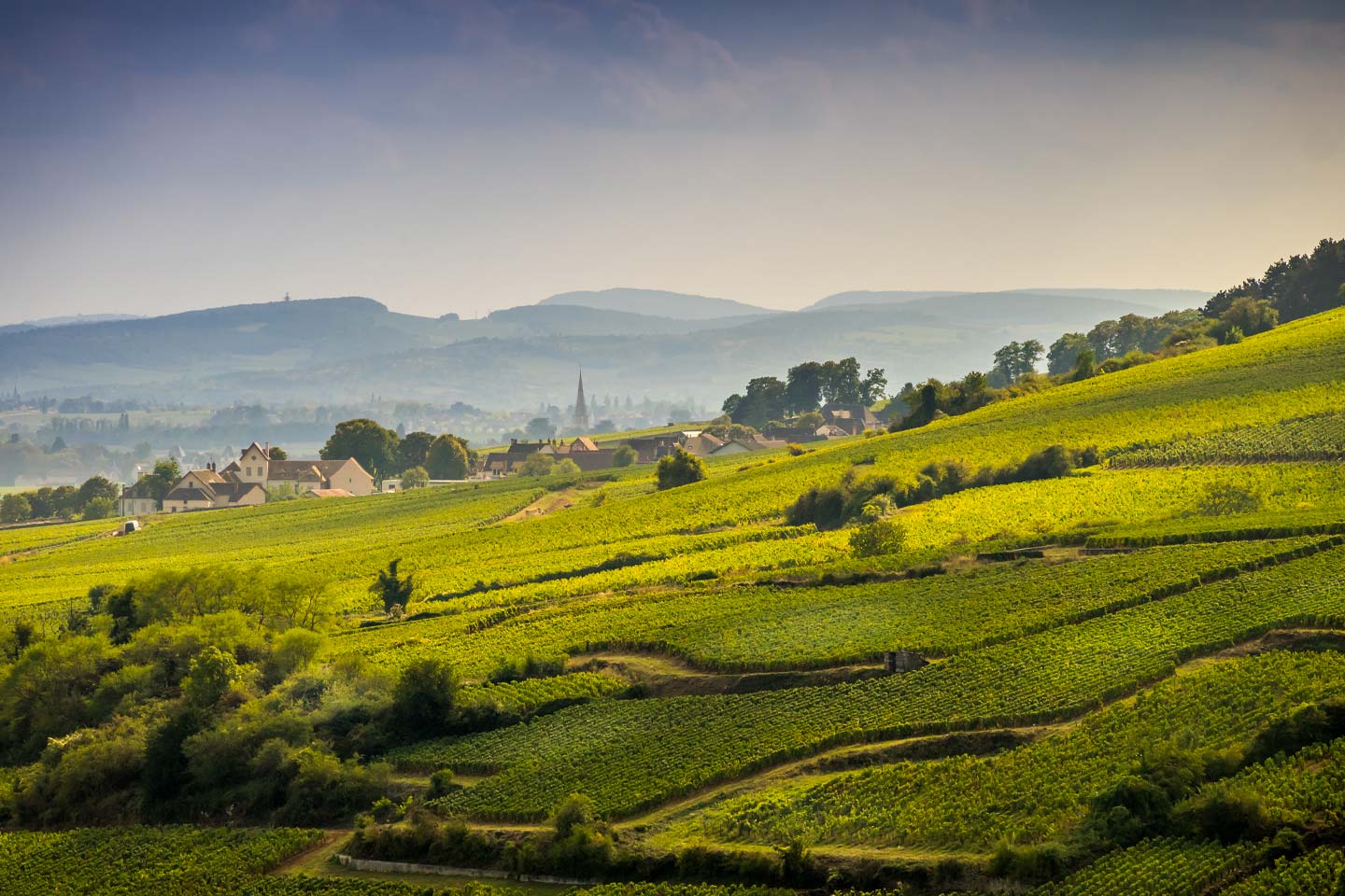 Borgogna Bijou: una colección de tesoros