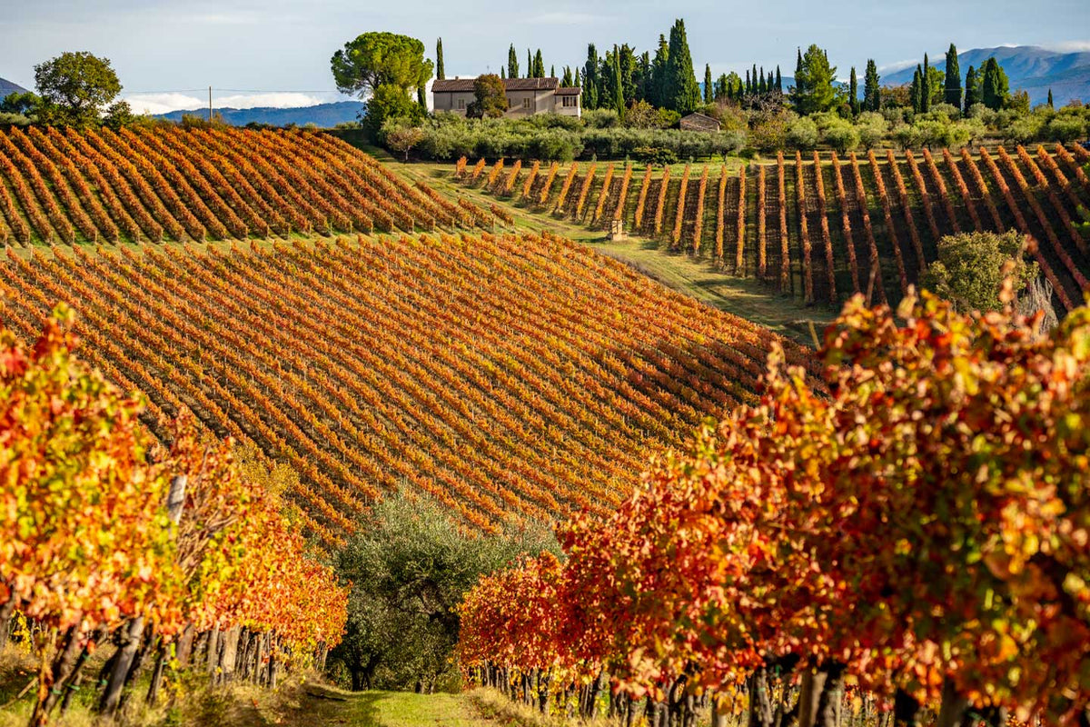 Vinos del centro de Italia