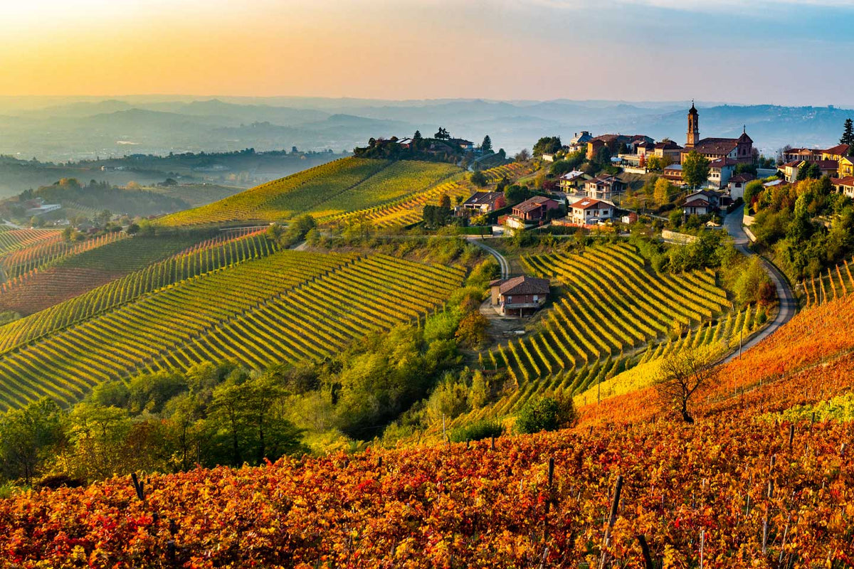 Vinos de las Langhe