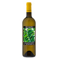 Toscana Bianco IGT "Casamatta" 2025 - Bibi Graetz
