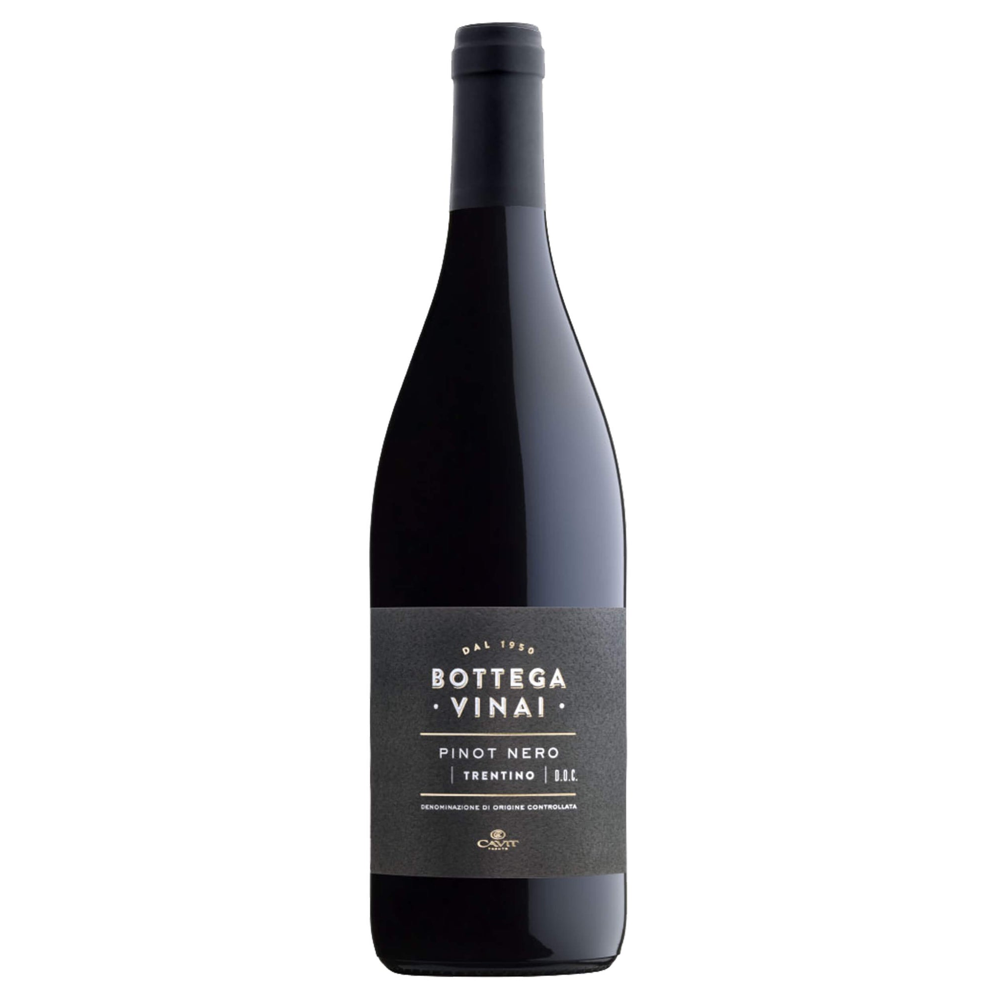 Trentino Pinot Nero DOC 2024 - Bottega Vinai