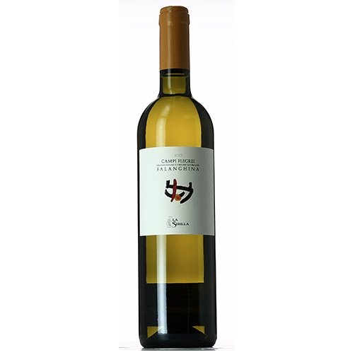 Campi Flegrei Falanghina DOC 2023 - La Sibilla