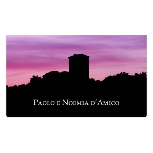 Lazio Chardonnay IGP "Calanchi di Vaiano" 2024 - Paolo e Noemia d'Amico