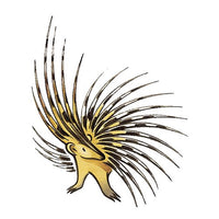 Orvieto DOC "Tragugnano" 2024 - Sergio Mottura (tappo a vite)