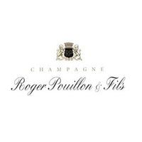 Champagne Extra Brut Grand Cru "Les Valnons" 2018 - Roger Pouillon et Fils