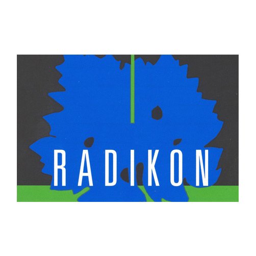 Venezia Giulia Merlot IGT 2009 - Radikon (1l)
