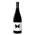 Montepulciano d'Abruzzo DOCG "Apollo" 2022 - Ausonia