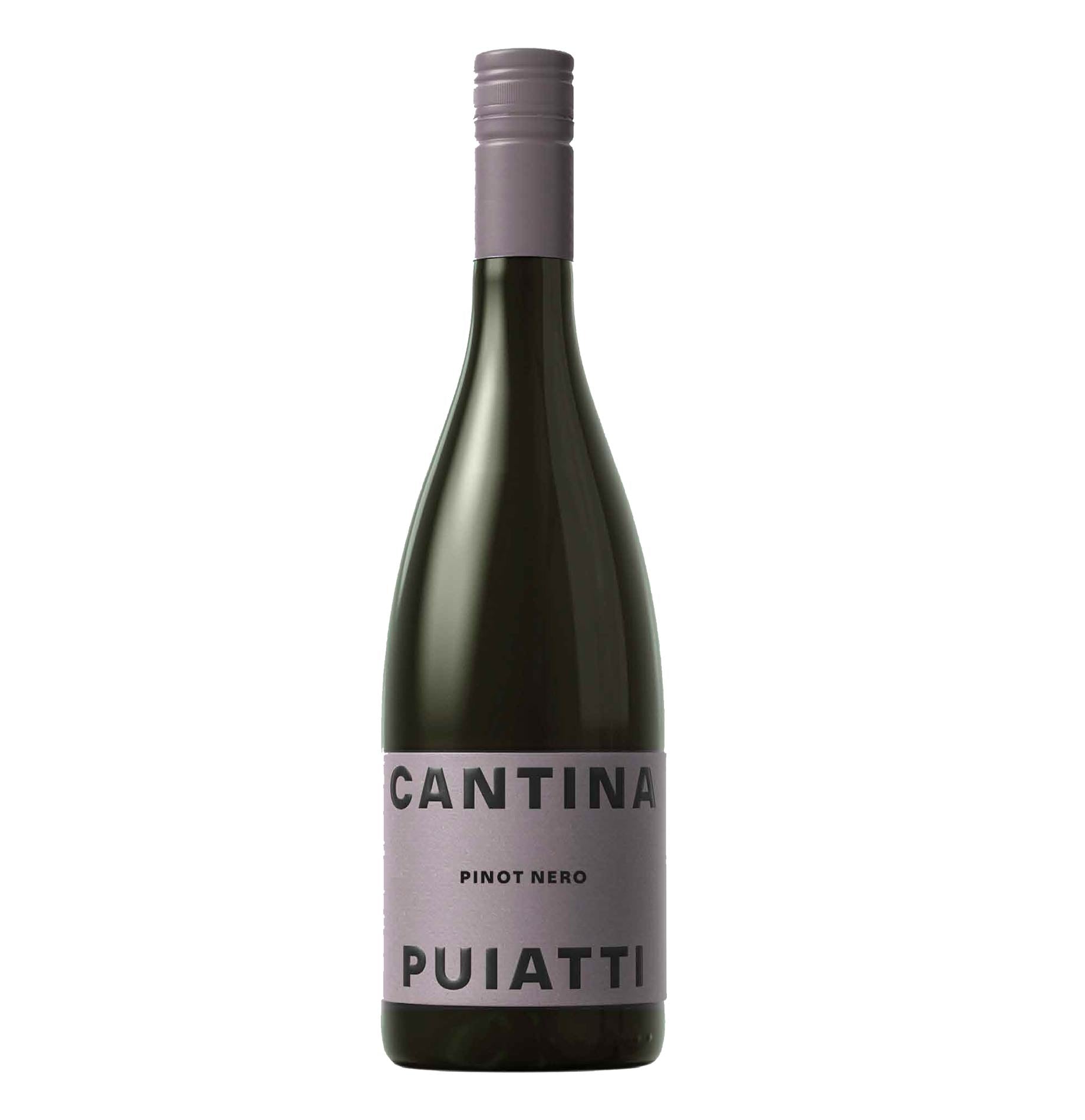 Pinot Nero Friuli DOC 2024 - Puiatti