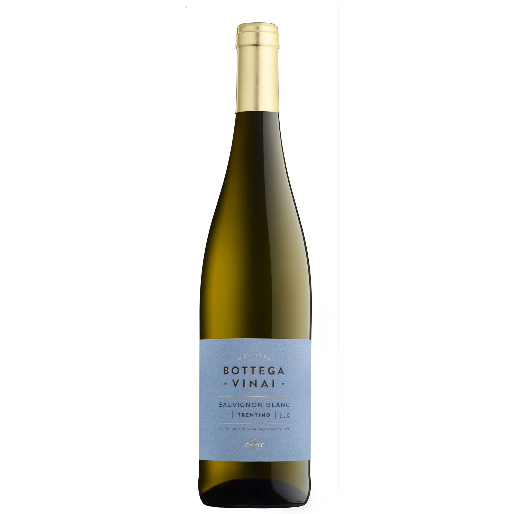 Trentino Sauvignon DOC 2024 - Bottega Vinai