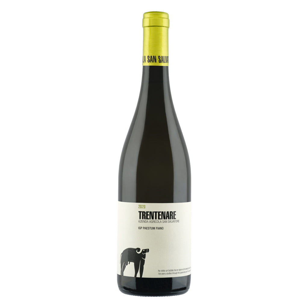 Paestum Fiano IGP "Trentenare" 2025 - San Salvatore 1988