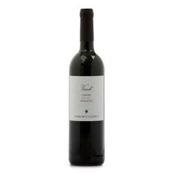 Langhe Dolcetto DOC 'Visadì' 2024 - Domenico Clerico
